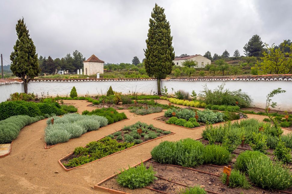 4ª Edición Universidad de Verano Aras de los Olmos